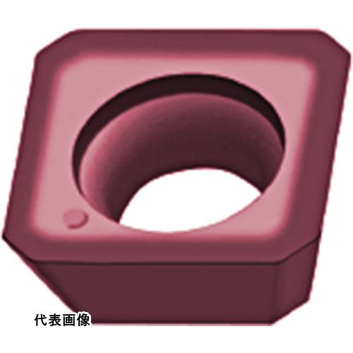 Walter ߡ󥰲ù ݥå WK10 [SPGT1204AEN-K88 WK10] SPGT1204AENK88 10å ̵