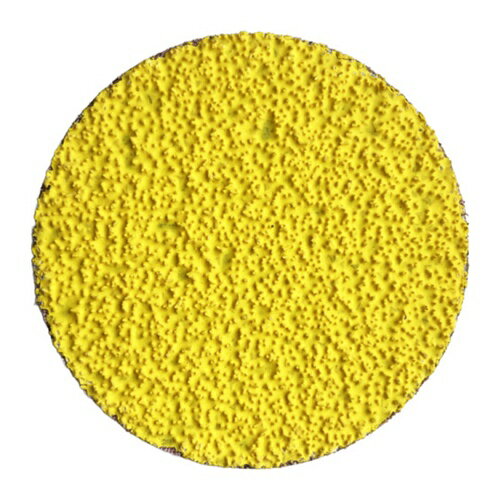 NORTON 研磨用砥石 クイックチェンジ レザースター マキビシ TR36+ [2QC50R990S36+] 2QC50R990S36 25セット 送料無料