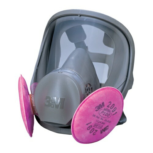 3M 取替式防じんマスク 6000F/2091-RL3 Lサイズ [6000F/2091-RL3L] 6000F2091RL3L 販売単位：1 送料無料