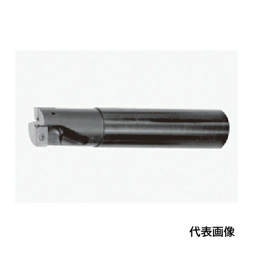 タンガロイ 多目的加工用 柄付きカッタ EVX [EVX10020RLA] 販売単位：1 送料無料