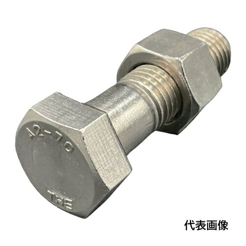 HI��LEAD ϻ�ѥܥ�ȡ��ʥå�(���ε���/��JIS) A2-70 SUS304/���ƥ�쥹 M20X60L �ԥå�2.5 Ⱦ�ͤ� ��������1�ʥå� [IS6HBNA270-M2060P25] IS6HBNA270M2060P25 ����ñ�̡�1
