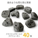 RMCG 本物の岩のような見た目 質感のクライミングホールド 40個セット ボルダリング スクリューオン セット ホールド トレーニング ロッククライミング 子供 インテリア 石 壁 木ネジ キッズ 本格派 ウォール 送料無料 あす楽