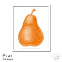 Pear@Orange@A[g|X^[it[tj