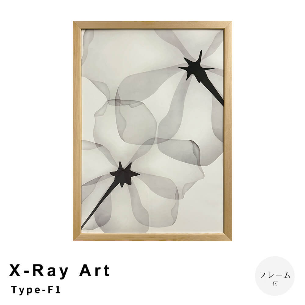 X－Ray　Art　Type－F1　アートポスター（フレーム付き）