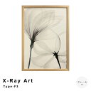 X−Ray Art Type−F3 アートポスター(フレーム付き) モダン ボタニカル 壁飾り 玄関 寝室 リビング 絵 ウォール コン...