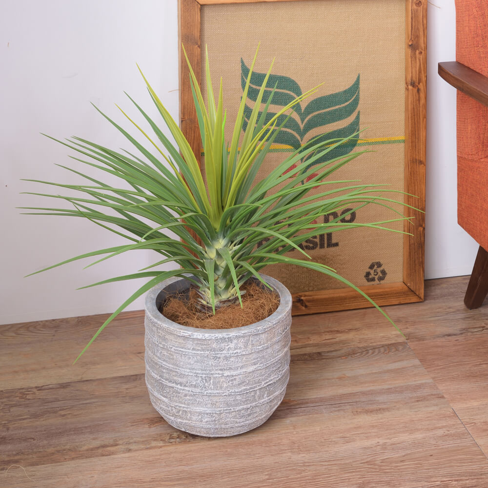 グリーンベース 6号 プランター 植木鉢 グリーンベース フラワーベース 観葉植物 ...