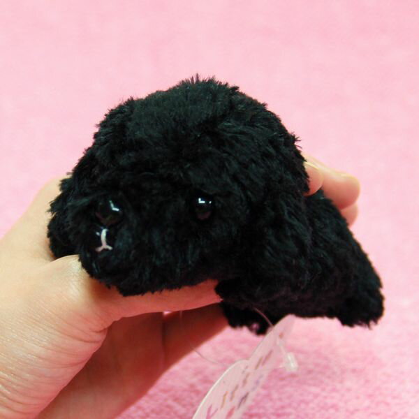 Little Beans プードル BLACK テディベアカット サイズ:10cm