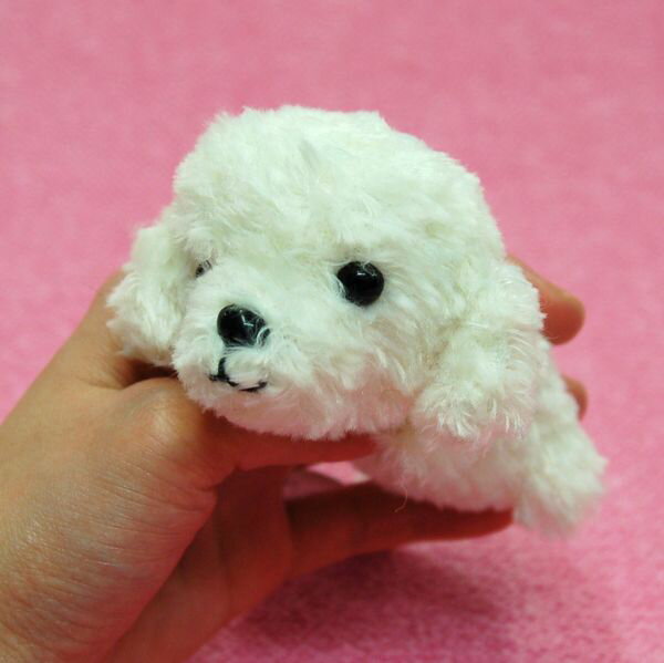 Little Beans プードル WHITE テディベアカット サイズ:10cm