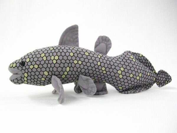 シーラカンス Coelacanth サイズ：30cm