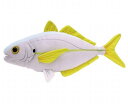 釣り人 シマアジ しまあじ 縞鯵 サイズ:41cm ふわふわ もちもち もふもふ ぬいぐるみ おもちゃ ギフト 贈り物 お祝い プレゼント お誕生日 大きい/小さい インテリア