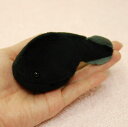 Little Beans オタマジャクシ サイズ:9cm おたまじゃくし ふわふわ もちもち もふもふ ぬいぐるみ おもちゃ ギフト 贈り物 お祝い プレゼント...