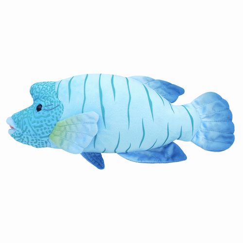 わくわく図鑑 ナポレオンフィッシュ サイズ:30cm メガネモチノウオ Napoleonfish