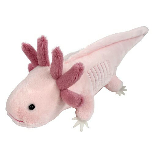 킭킭} Az[g PINK TCY:30cm E[p[[p[ LVRT}_[/TVEEI Mexico Salamander / axolotl