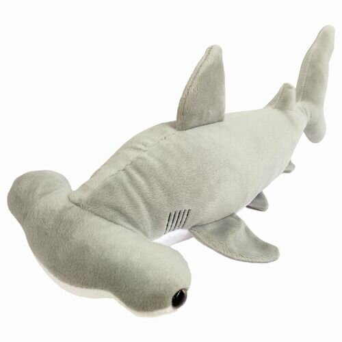 わくわく図鑑 シュモクザメ サイズ:37cm さめ サメ 鮫 Hammerhead Shark ハンマーヘッドシャーク