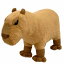 わくわく図鑑 カピバラ サイズ:22cm かぴばら Capybara オニテンジクネズミ 鬼天竺鼠 1,650円