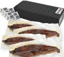 うなぎ 国産 鰻 蒲焼き 国産うなぎ ギフト 鰻の蒲焼き 鹿児島県 大隈産 【 140〜150g 大 × 4尾セット 】 うなぎの蒲焼き お取り寄せグルメ お中...