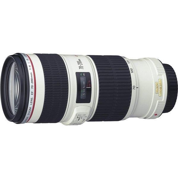 #8: Canon ˾󥺡 EF70-200mm F4L IS USM ե륵бβ