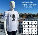 埼玉63市町村 Tシャツ (全68デザイン） メンズ レディース 半袖 綿100％ ホワイト L・XL 埼玉Tシャツ 47都道府県 県民Tシャツ ご当地Tシャツ プレゼント 土産 ギフト おもしろ 送別会 お祝い 卒業 入学