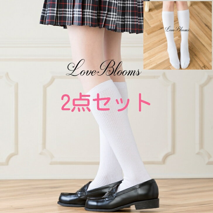 | 2_Zbg XN[\bNX  zCg 32cm nu fB[XC V Vw ʊw  RXv School Socks