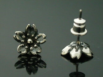 【シルバーアクセサリー】桜ピアス(1個)【ベルキャッチ】【メール便OK!!】