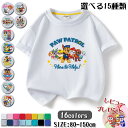  Tシャツ キッズ 半袖 パウパトロール (Paw Patrol) 夏物 シャツ 女の子 男の子 丸い襟 可愛い カジュアル Tシャツ ゆるいトップス スウェット キッズ グッズ 子供服 通園着 80 90 100 110 120 130 140 150cm 誕生日 プレゼント 新作