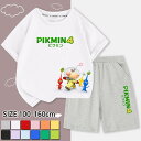 sN~ ZbgAbv LbY W[W  Pikmin Plush TVc pc ㉺Zbg 2_Zbg pW} ĕ tďH ̎q j̎q WjA ۂ   XEFbg LbY ObY q a v[g 100-160cm ʉ