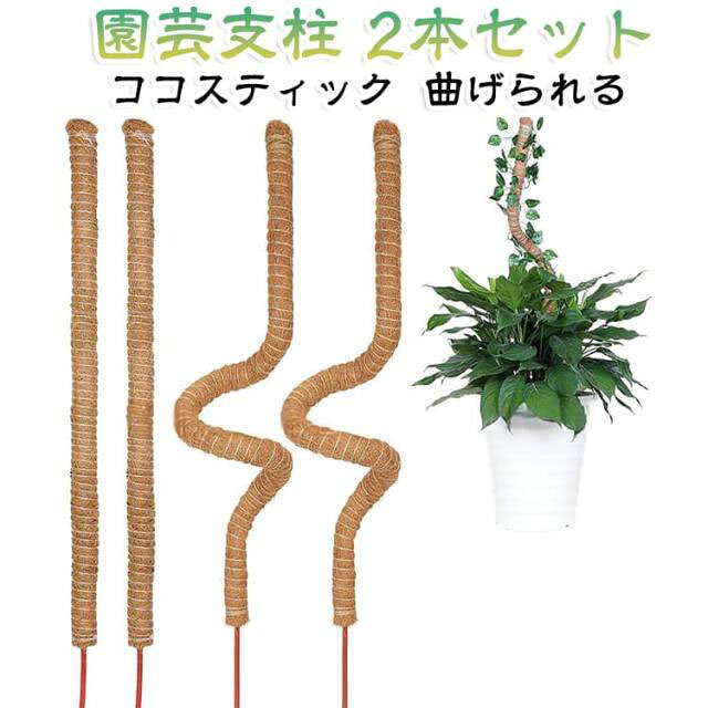 植物の成長に合わせて、支柱の長さを簡単に延ばせます。モンステラなどの大きな観葉植物にぴったりで、植物をしっかり支えながら、お好みの高さまで育てることが可能です。環境に優しい素材を採用し、土にも簡単に差し込めます。丈夫でしっかりとした作りで、植物をしっかりと支え、倒れることを防ぎます。長くお使いいただける耐久性を備えています。天然のココナッツ繊維を使用しており、自然の風合いがインテリアに馴染み、おしゃれな雰囲気を演出します。ココナッツ繊維は水分を保持しやすく、植物の根や茎が巻き付きやすいため、成長を促進します。安定した支柱が植物のバランスを整え、風通しや日当たりが良くなることで病害虫の予防効果も期待できます。 サイズ 30cm 40cm 50cm 60cm 70cm 80cm 90cm 100cm 110cm 120cm 160cm サイズについての説明 サイズ：直径7mm、30cm 40cm 50cm 60cm 70cm 80cm 90cm 100cm 110cm 120cm 160cm。※実寸はメジャー採寸の為、若干の誤差が生じる場合があります。 素材 天然ココナツ繊維 色 2本セット 備考 ●サイズ詳細等の測り方はスタッフ間で統一、徹底はしておりますが、実寸は商品によって若干の誤差(1cm～3cm )がある場合がございますので、予めご了承ください。 ●製造ロットにより、細部形状の違いや、同色でも色味に多少の誤差が生じます。 ●パッケージは改良のため予告なく仕様を変更する場合があります。 ▼商品の色は、撮影時の光や、お客様のモニターの色具合などにより、実際の商品と異なる場合がございます。あらかじめ、ご了承ください。 ▼生地の特性上、やや匂いが強く感じられるものもございます。数日のご使用や陰干しなどで気になる匂いはほとんど感じられなくなります。 ▼同じ商品でも生産時期により形やサイズ、カラーに多少の誤差が生じる場合もございます。 ▼他店舗でも在庫を共有して販売をしている為、受注後欠品となる場合もございます。予め、ご了承お願い申し上げます。 ▼出荷前に全て検品を行っておりますが、万が一商品に不具合があった場合は、お問い合わせフォームまたはメールよりご連絡頂けます様お願い申し上げます。速やかに対応致しますのでご安心ください。