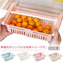 冷蔵庫収納 冷蔵庫トレー 2個セット 小物 収納 卵ケース 小物収納 バスケット 冷蔵庫収納 小物入れ 収縮タイプ スライド式 キッチン 冷蔵庫用 果物 野菜