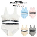 2点セット 上下セット キッズ 子供 ブラジャー ショーツ ジュニア 下着セット パッド付き ブラジャー カップ付き 大人 女の子 パンツ 肌着 インナー アン...