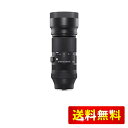 シグマ(Sigma) SIGMA シグマ Sony Eマウント レンズ 100-400mm F5-6.3 DG DN OSズーム 望遠 フルサイズ Contemporaryミラーレス専用(2)