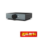 AIYIMA A07 MAX HIFI パワーアンプ 2チャンネルホームオーディオ TPA3255 クラスD 300W x2 アンプ ブリッジド・モノアンプ 600W,3.5mmライン出力 統合デスクトップ デジタルアンプ 家庭用オーディオ パッシブ本棚スピーカー適用 +電源アダプター付き