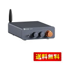 Fosi Audio BT20A Pro 300W x2 TPA3255 Bluetooth 5.0 パワーアンプ 小型 ホーム オーディオ ステレオ 2チャンネル アンプ レシーバー ミニ Hi-Fi クラスD 家庭用 統合アンプ スピーカー用 高低音/音量調整可能 オペアンプ交換可能 日本語説明書付き 32V/5A電源付き