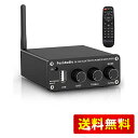 Fosi Audio BL20A 小型 Bluetooth ステレオ アンプ 家庭用 100Wx2 Hi-Fi ミニ 2チャンネル クラスD デジタルアンプ ホーム オーディオ スピーカーアンプ TPA3116 コンパクト Uディスク対応 リモコン/電源付き