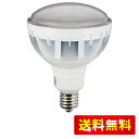 岩崎電気 セルフバラスト水銀ランプ100v160w屋外用 LDR33N-H/E39W750