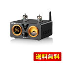 AIYIMA T9 PRO 200W Bluetooth 5.0 真空管アンプ D級HiFiデジタルアンプ 2.0/2.1ch真空管パワーアンプ VUメーター、低音高音コントロール付き