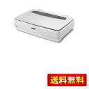 エプソン フラットベッドスキャナー DS-G30000 A3プラス カラー 2400dpi