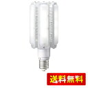 岩崎電気 LEDライトバルブ 110Wランプ(昼白色) LDTS110N-G-E39