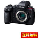 パナソニック(Panasonic) ミラーレス一眼カメラ ルミックス 像面位相差AF搭載 高速連写性能 手ブレ補正強化 ボディ ブラック DC-G9M2