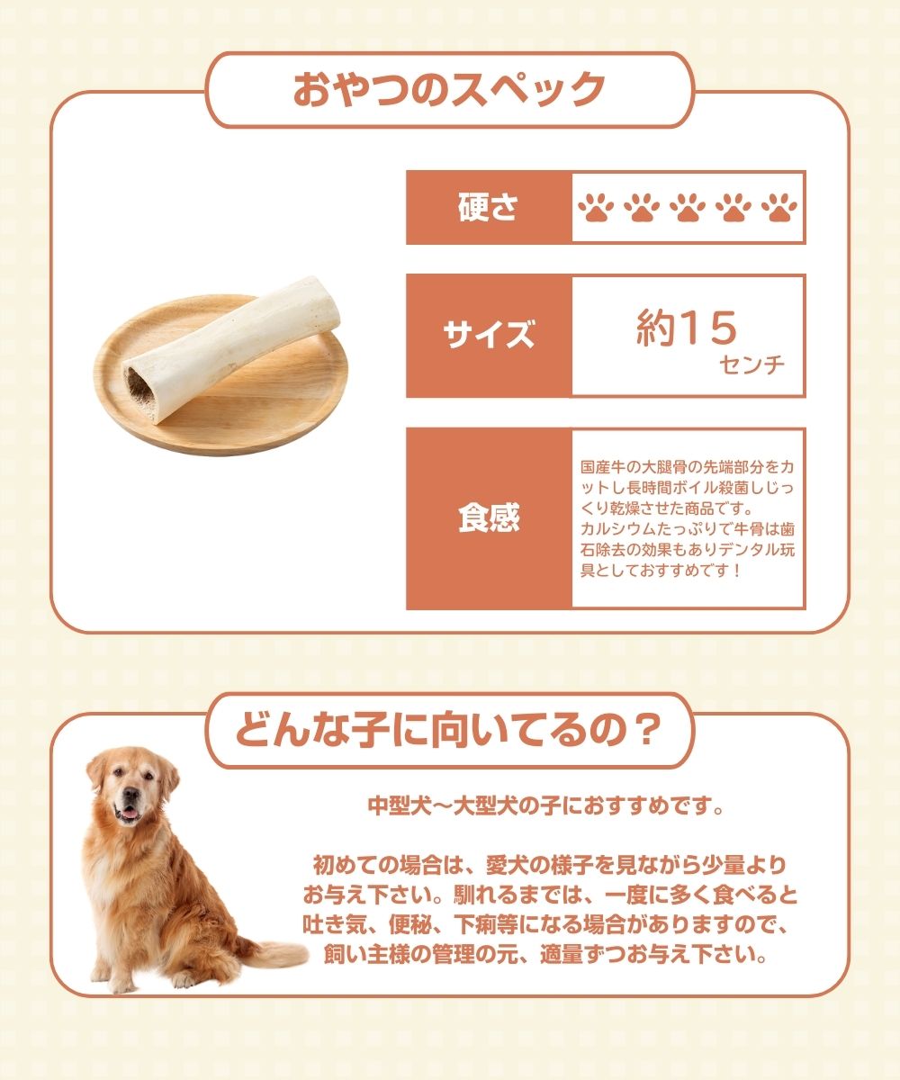 ���񻺡�̵ź�á������󥳥ġ�1�ܡϸ������ ������ �淿�� �緿�� ̵ź�ä���� ���ꤪ��� ���� �� �񻺵� �������� ����¡ �⥿��ѥ� ����� ���Ѥ���� ���� ������� �ǥ󥿥륱�� �ǥ󥿥��� ���м�� �� �� ̵ź�� ����Ť�