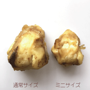 ★国産・無添加★牛グリ骨乾燥ミニサイズ［2個］犬おやつ 小型犬 中型犬 大型犬 無添...