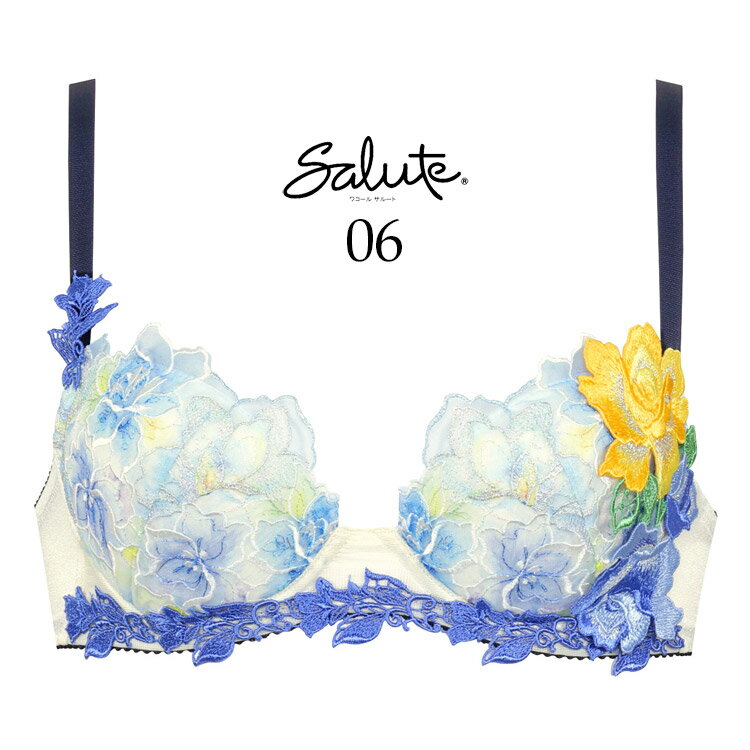 楽天市場】ワコール サルート 6グループの通販