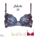 20％OFF ワコール サルート 10 プッシュアップ ブラジャー Gカップ 谷間 定番 P-UP slt10-p wacoal salute プレゼント 彼女