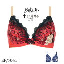 Wacoal Salute 3/4カップ サルート96 セール 大きいサイズ アンダー85 まで 赤 下着