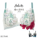ワコール サルート セール Wacoal Salute P−Up 3/4カップブラ サルート16 新作 很喜歡