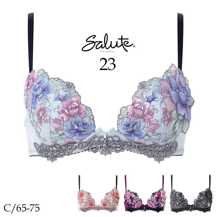 ワコール サルート 23G 新作 セール フロントエックス ブラジャー Cカップ 谷間 単品 レディース BTJ723のサムネイル