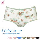 LLサイズ ワコール ショーツ すそピタショーツ 綿混 ふつう 花柄 ショーツ