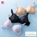 ワコール ノンワイヤー ブラジャー Aカップ 定番 Ever Chic BRA594替