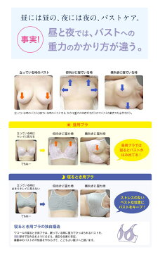 夜用ブラ ワコール Wacoal 新ナイトアップブラ Night Up Bra LL/3Lサイズ wcl-nib