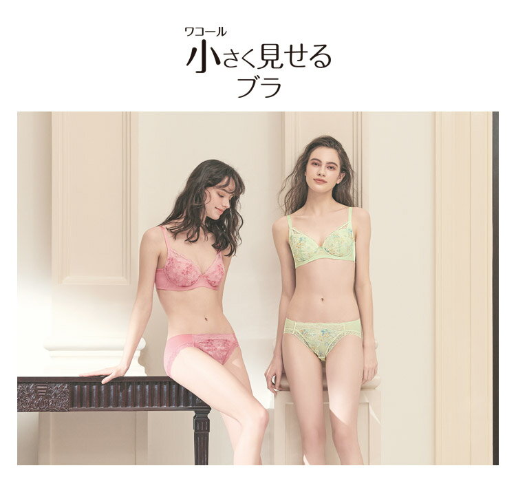 ワコール 小さく見せるブラ ペア スタンダードショーツ ML wacoal underwear panties