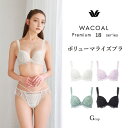 ワコール プレミアム 18シリーズ ボリューマライズブラ Gカップ 単品 BXD718